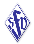 logo_sfv